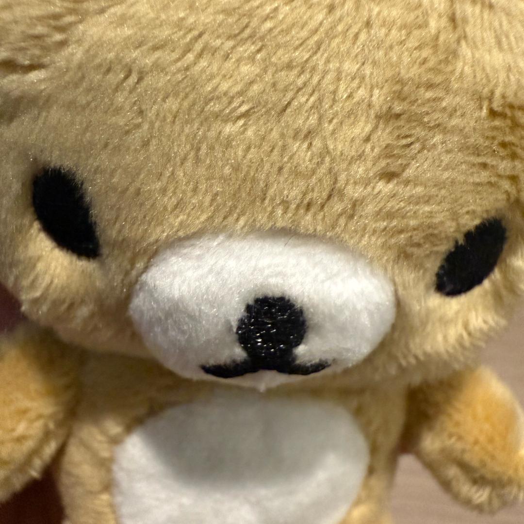 小伊是只猫