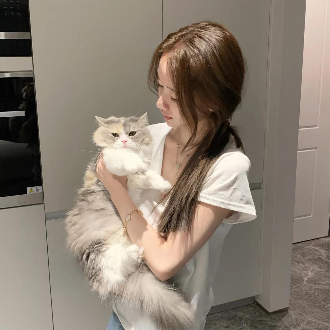 山海梦旅人带你游全国