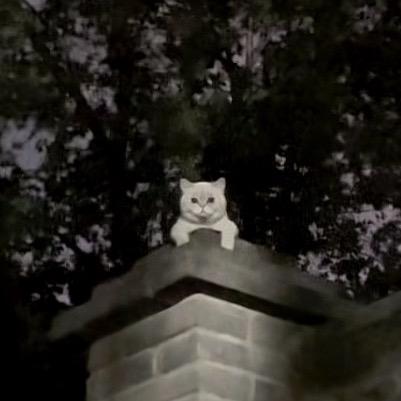 Amanda懂你的奇奇怪怪