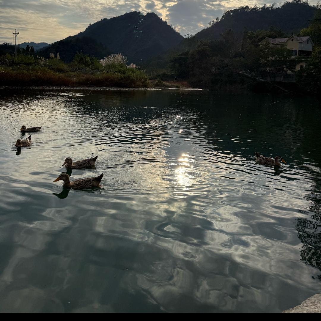 开开心心每一天