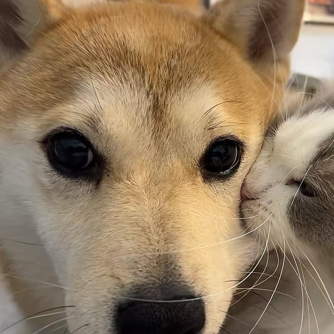 迷人铭