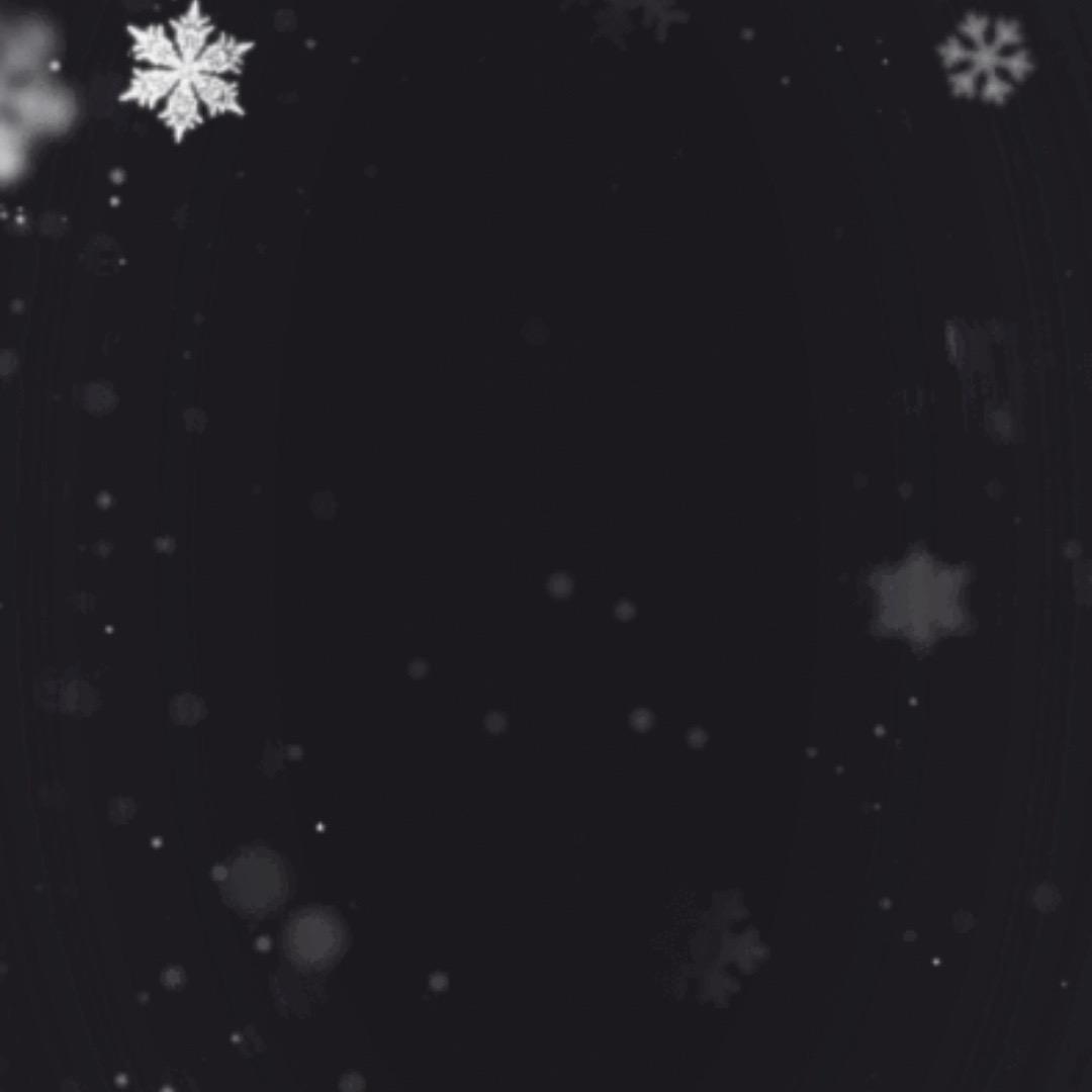 顾洋