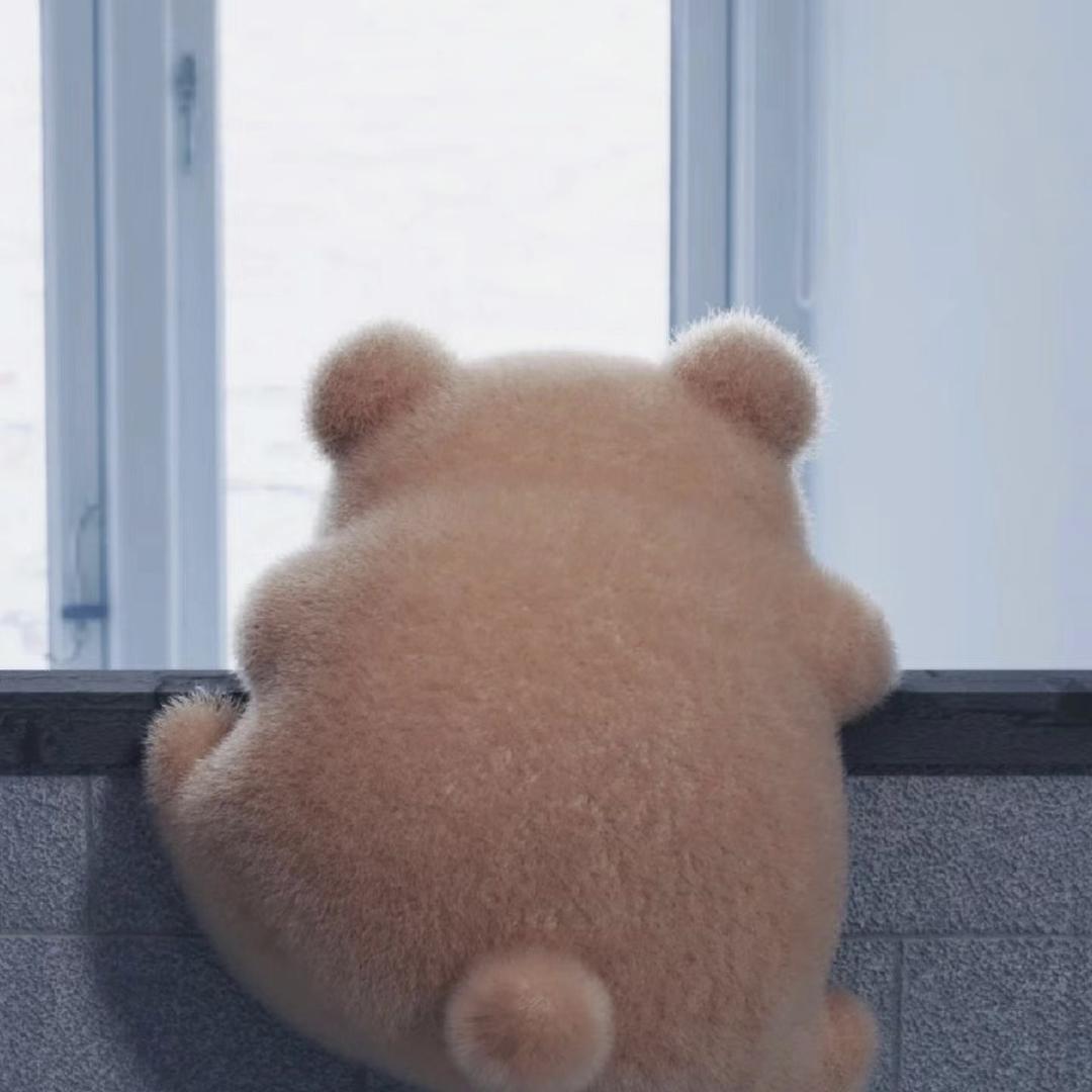 Hu博士