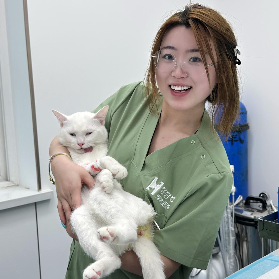 夹子猫的东北妈