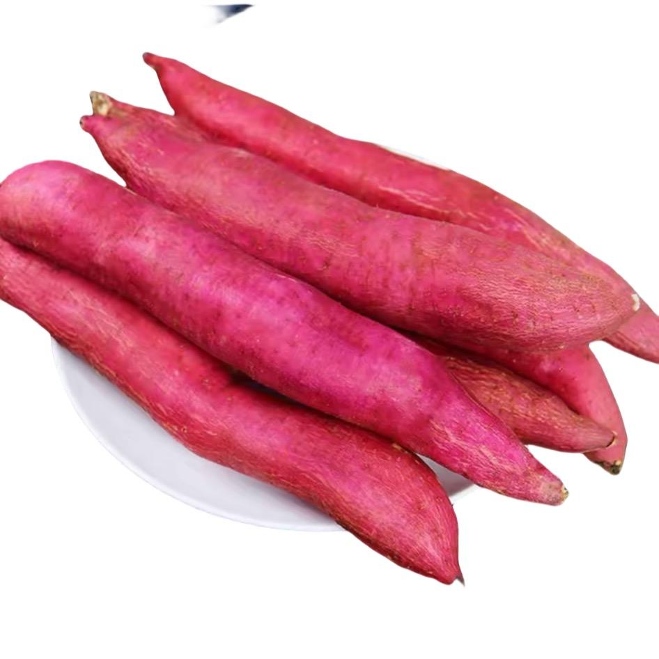 向阳优选