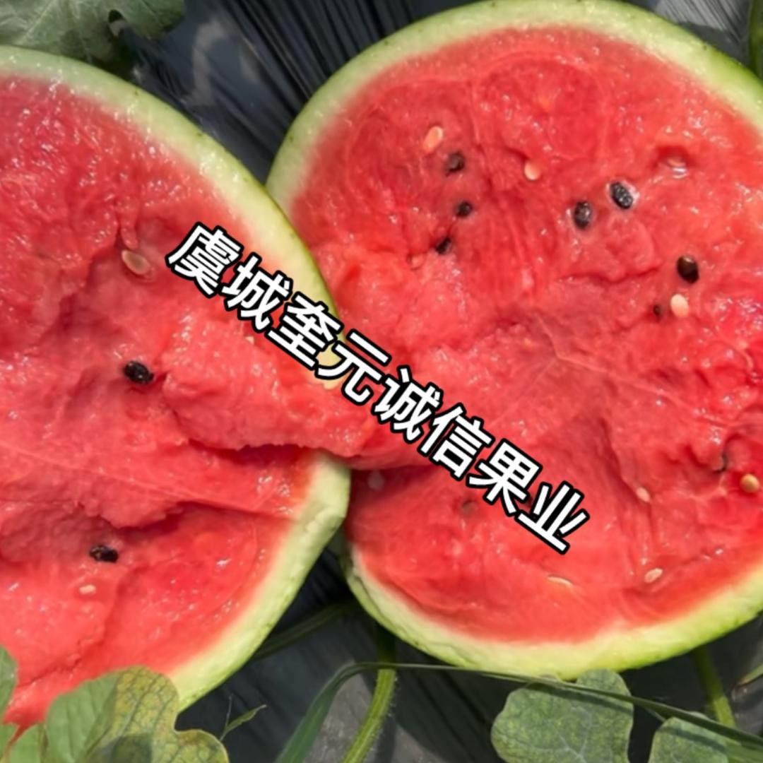 虞城奎元果业代发团队