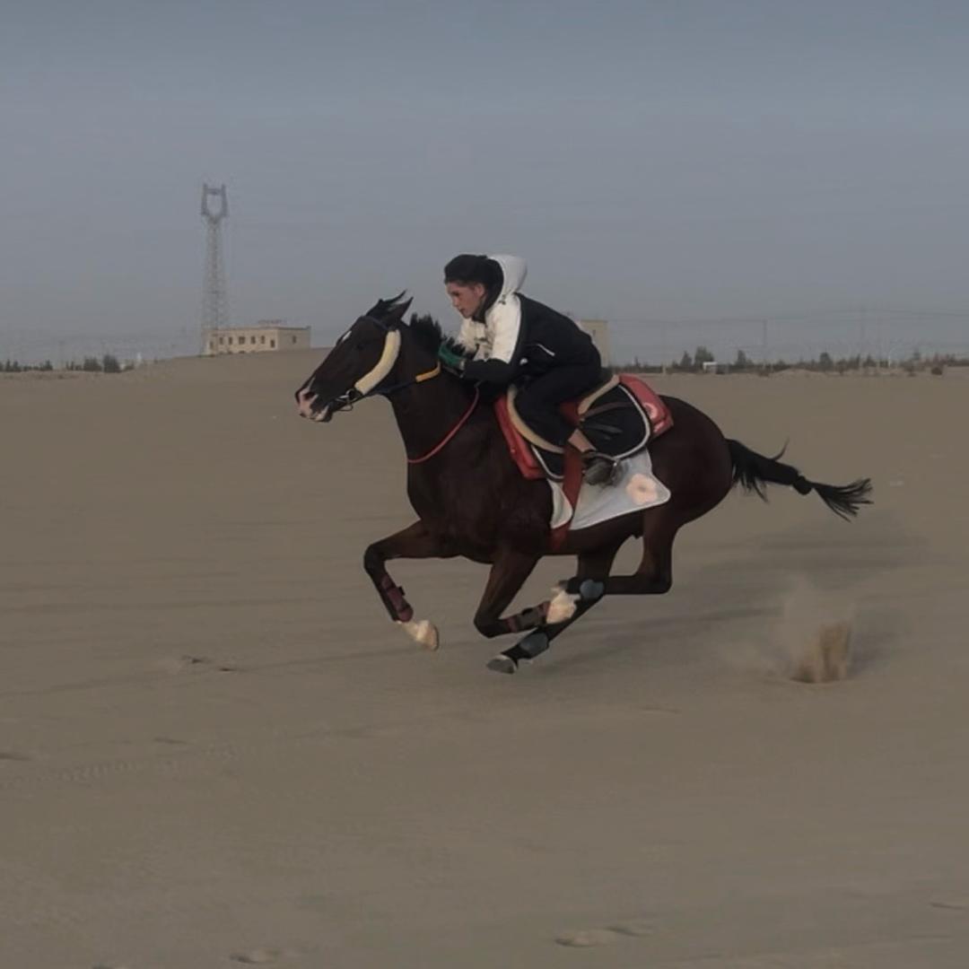 男骑🏇