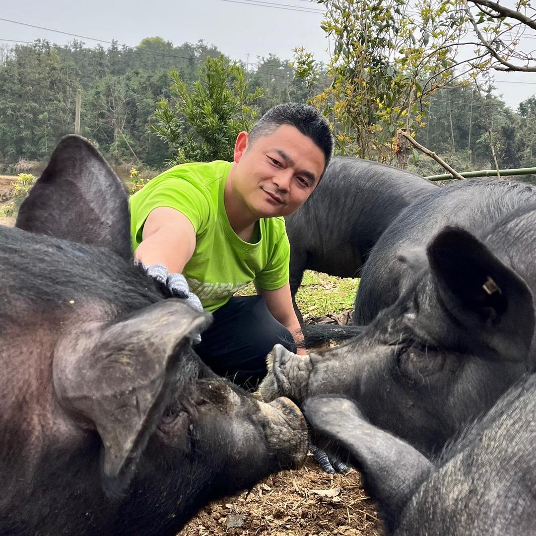 猪哥的猪肉铺
