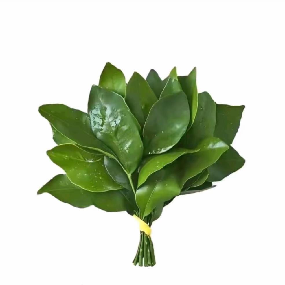 火爆辣椒🌶️