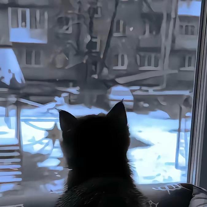 秋风怎么懂落叶