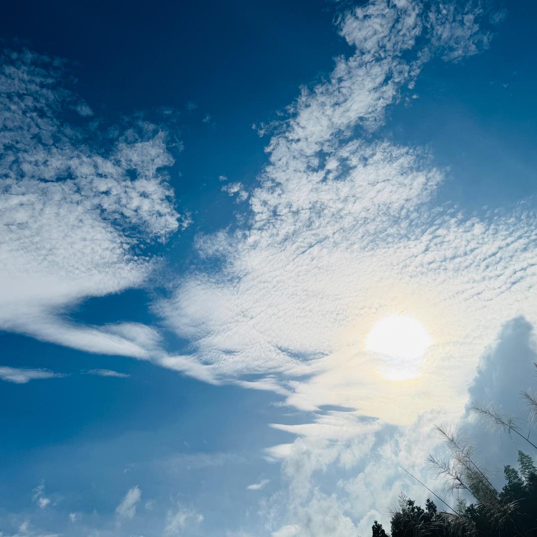 ⁽⁽ଘ😇ଓ⁾⁾