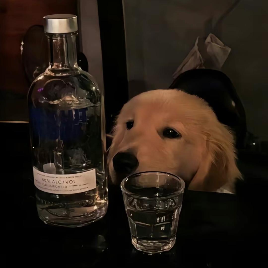 久离