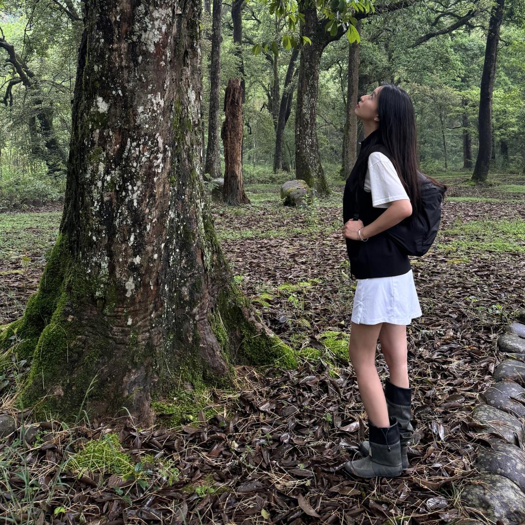 兴奋的寿喜锅