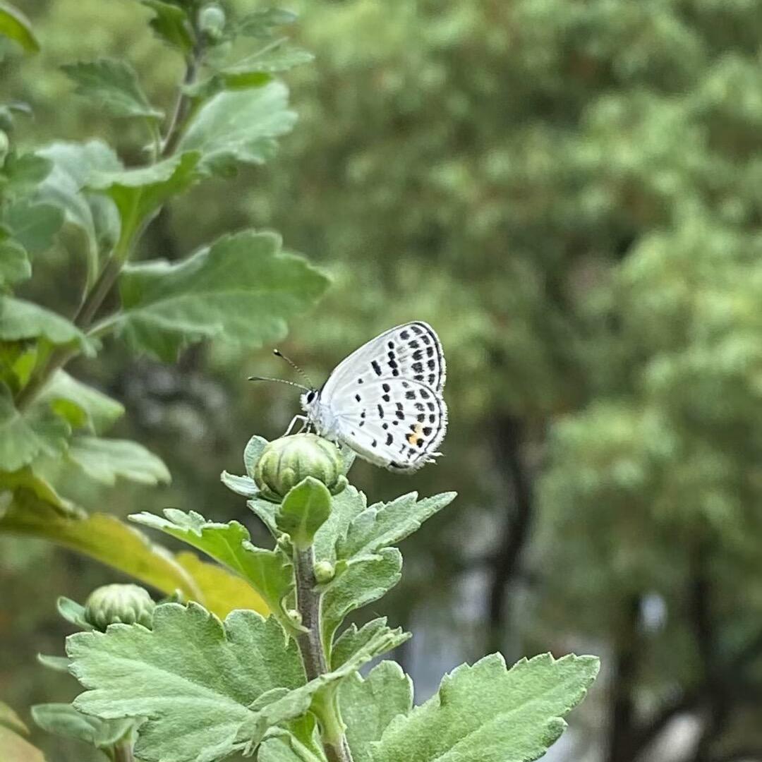 云上森林幸福饰品店