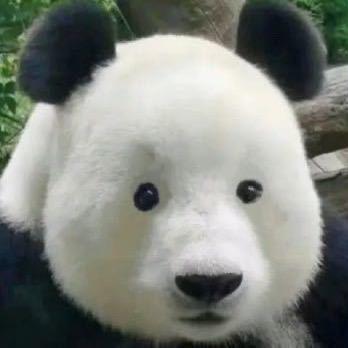 家装的B