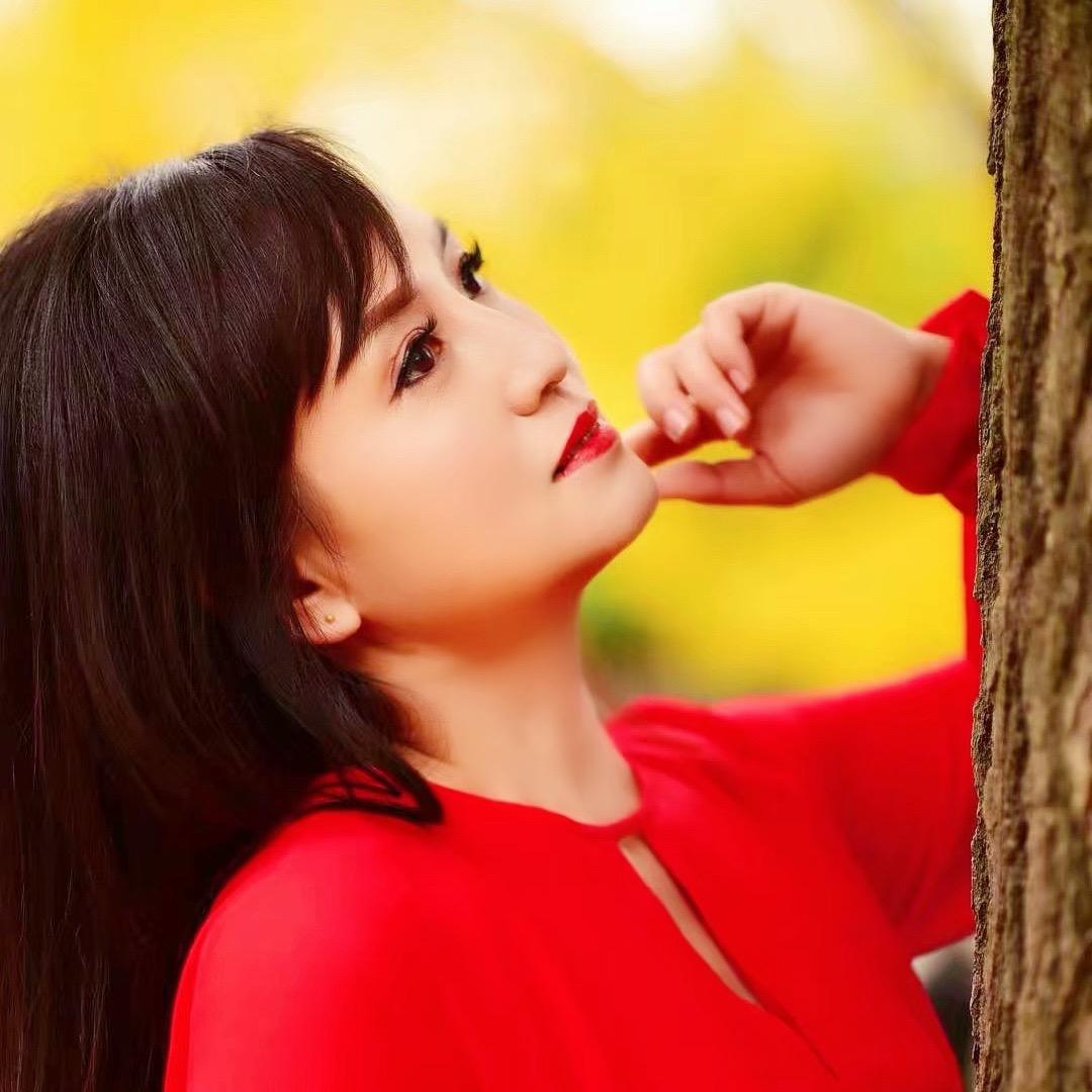 襄阳梅花语