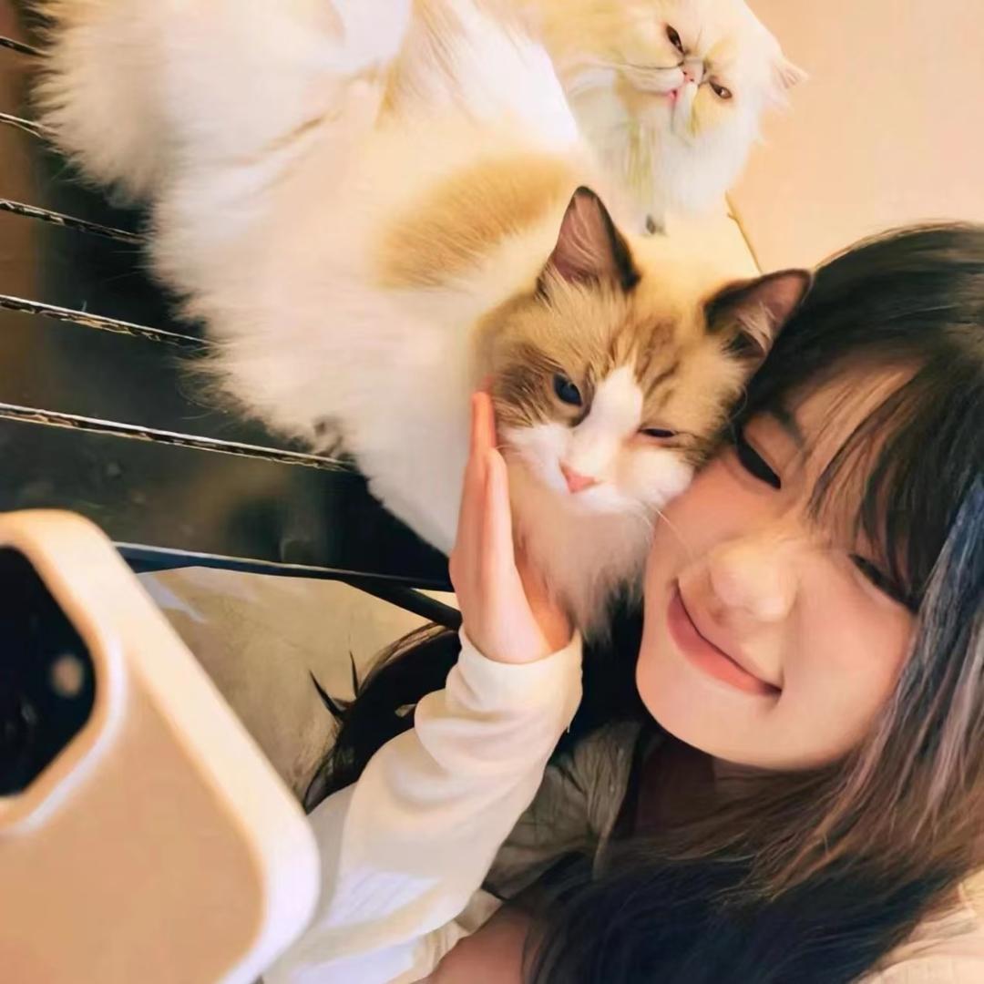 小猫_