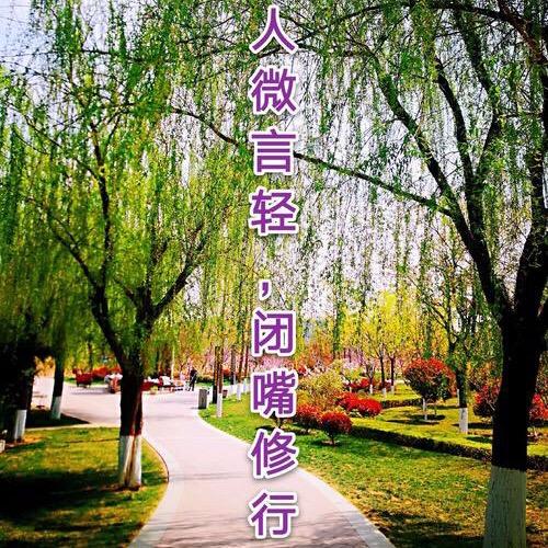 言尽于此