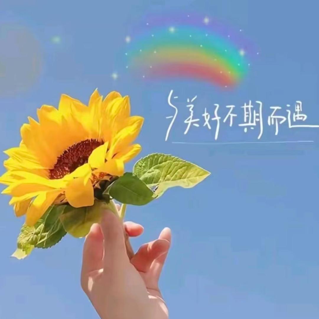 无为一中托管万老师