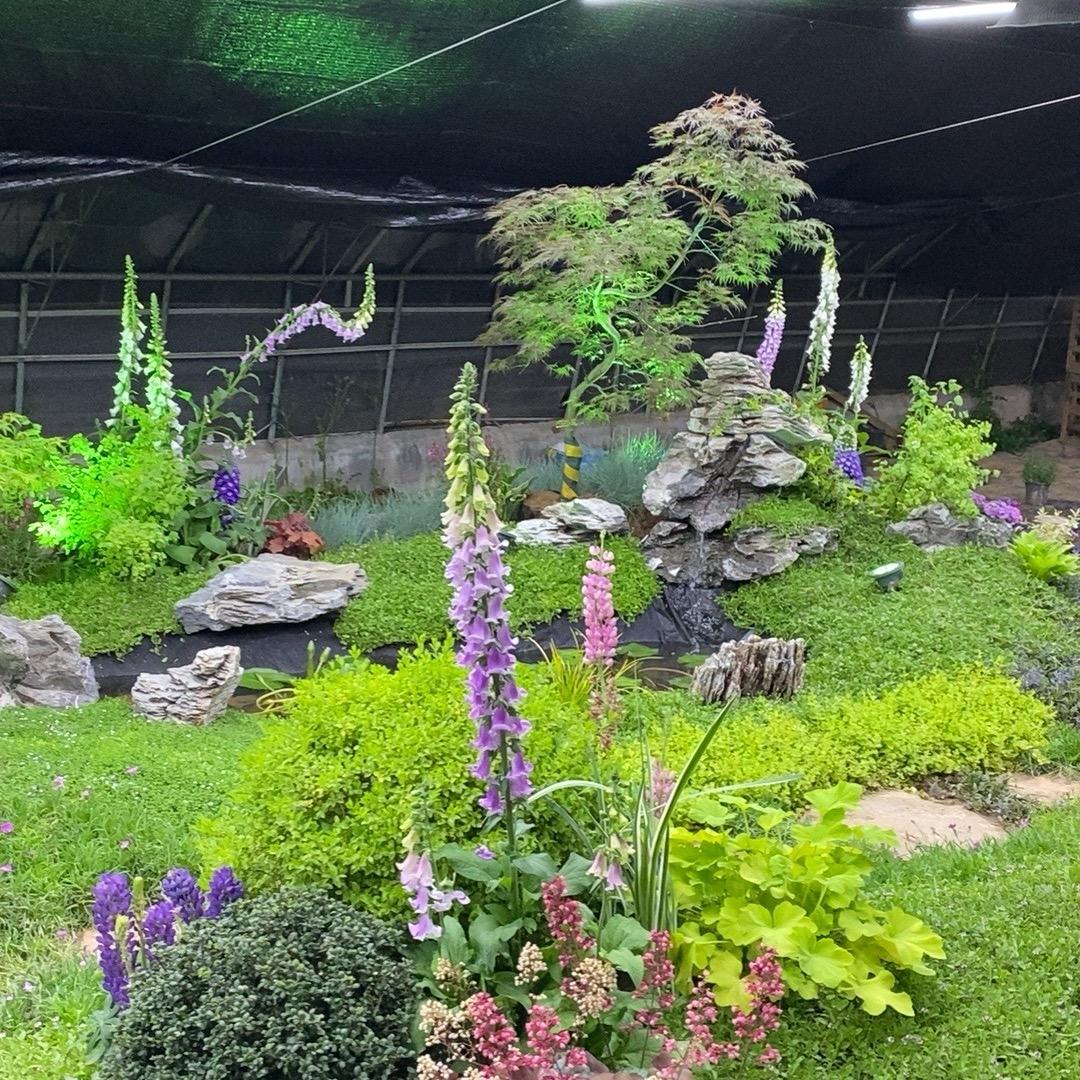 鹏见·花镜