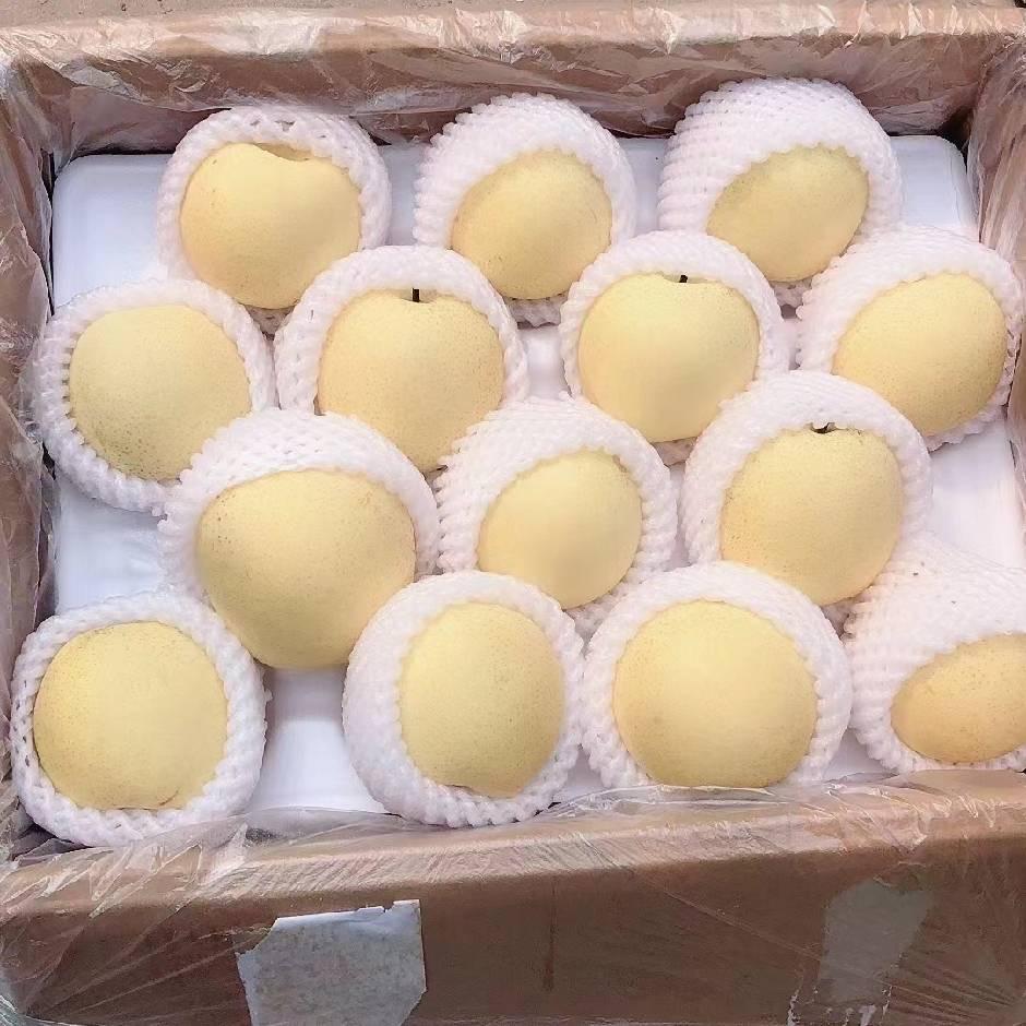 河北专业梨果代办