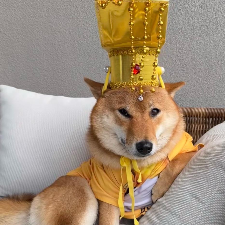 不等春秋