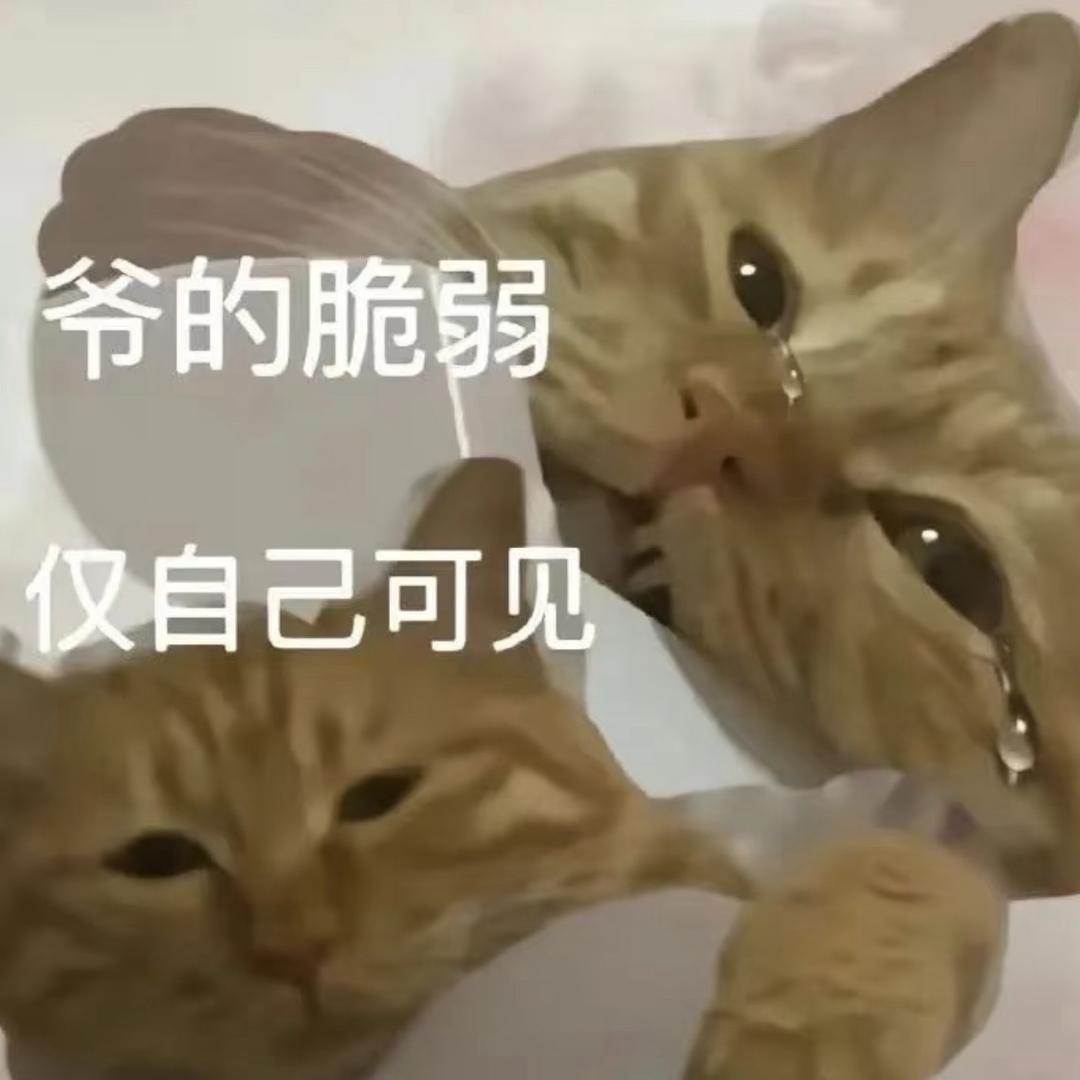 无敌蟹黄堡