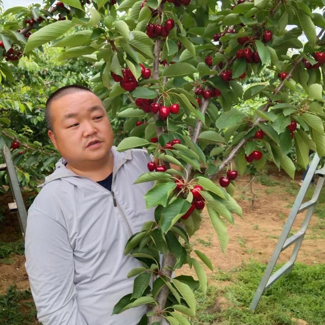 寻找那一段真爱