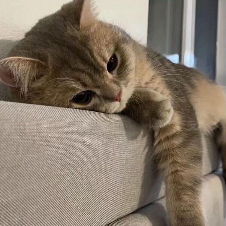 李响.