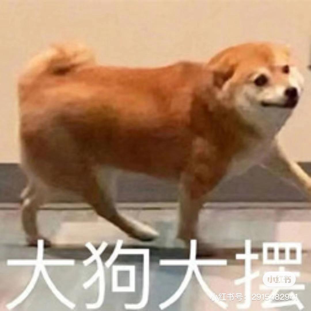 毛毛