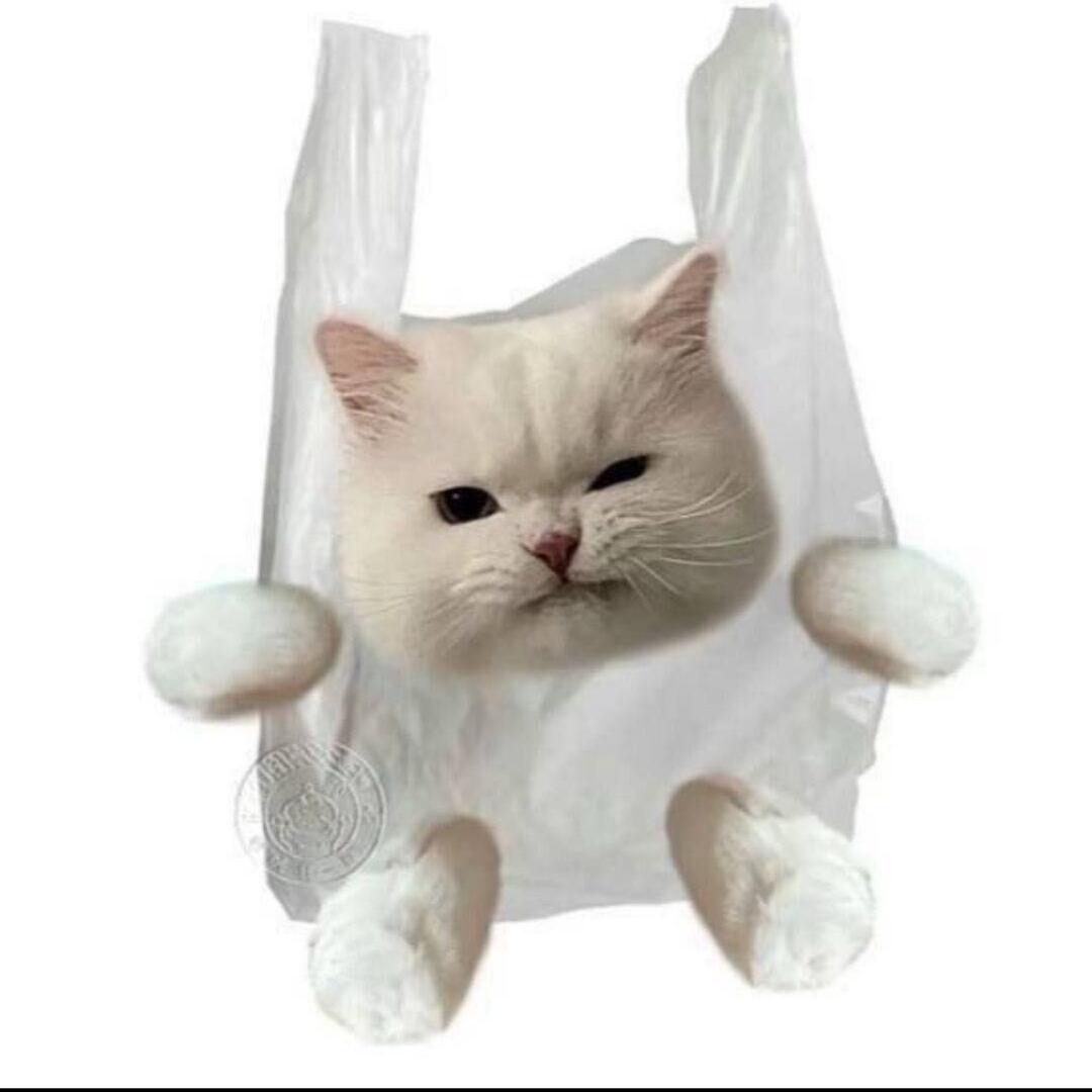 ＡｓｆＨｋｌ