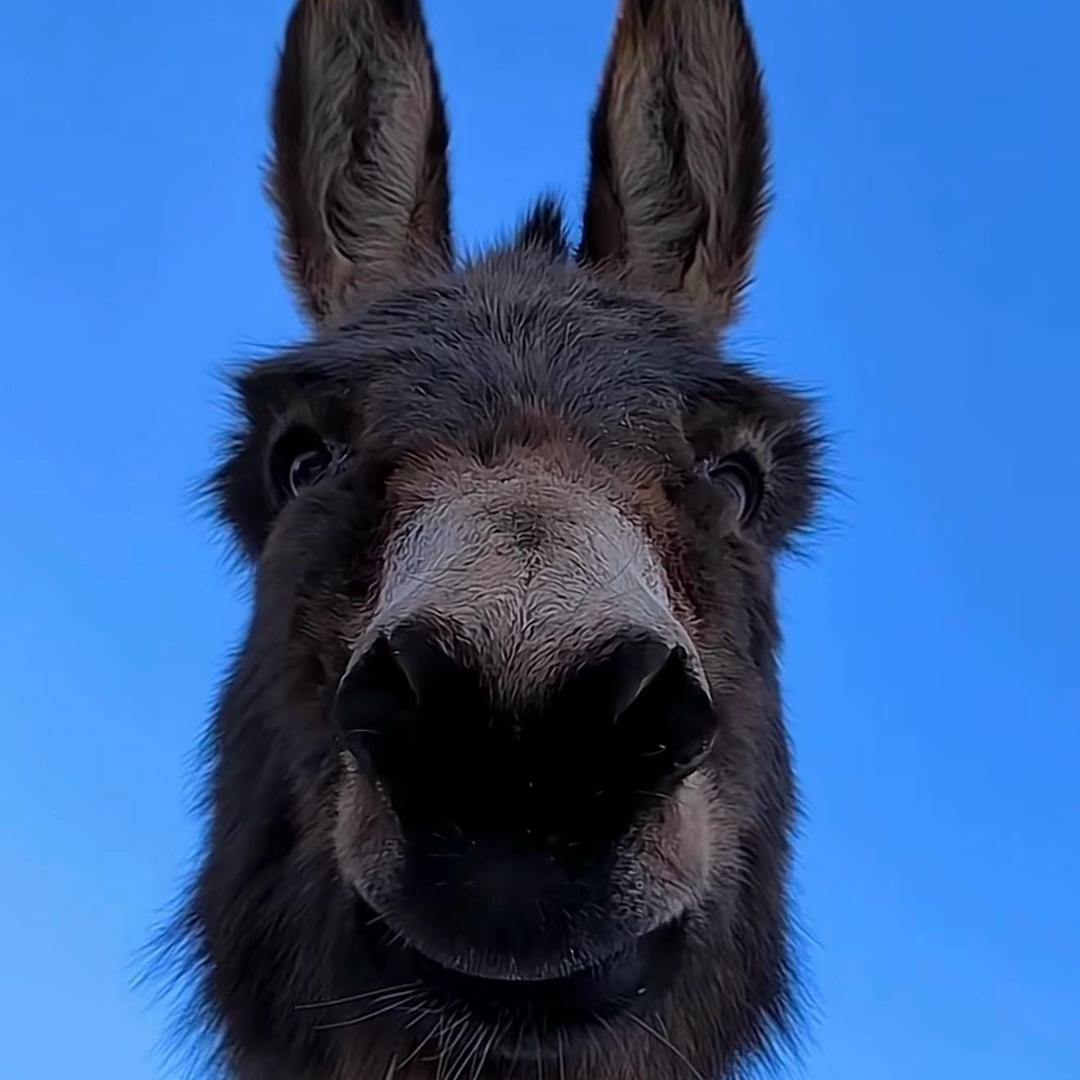 @明天見