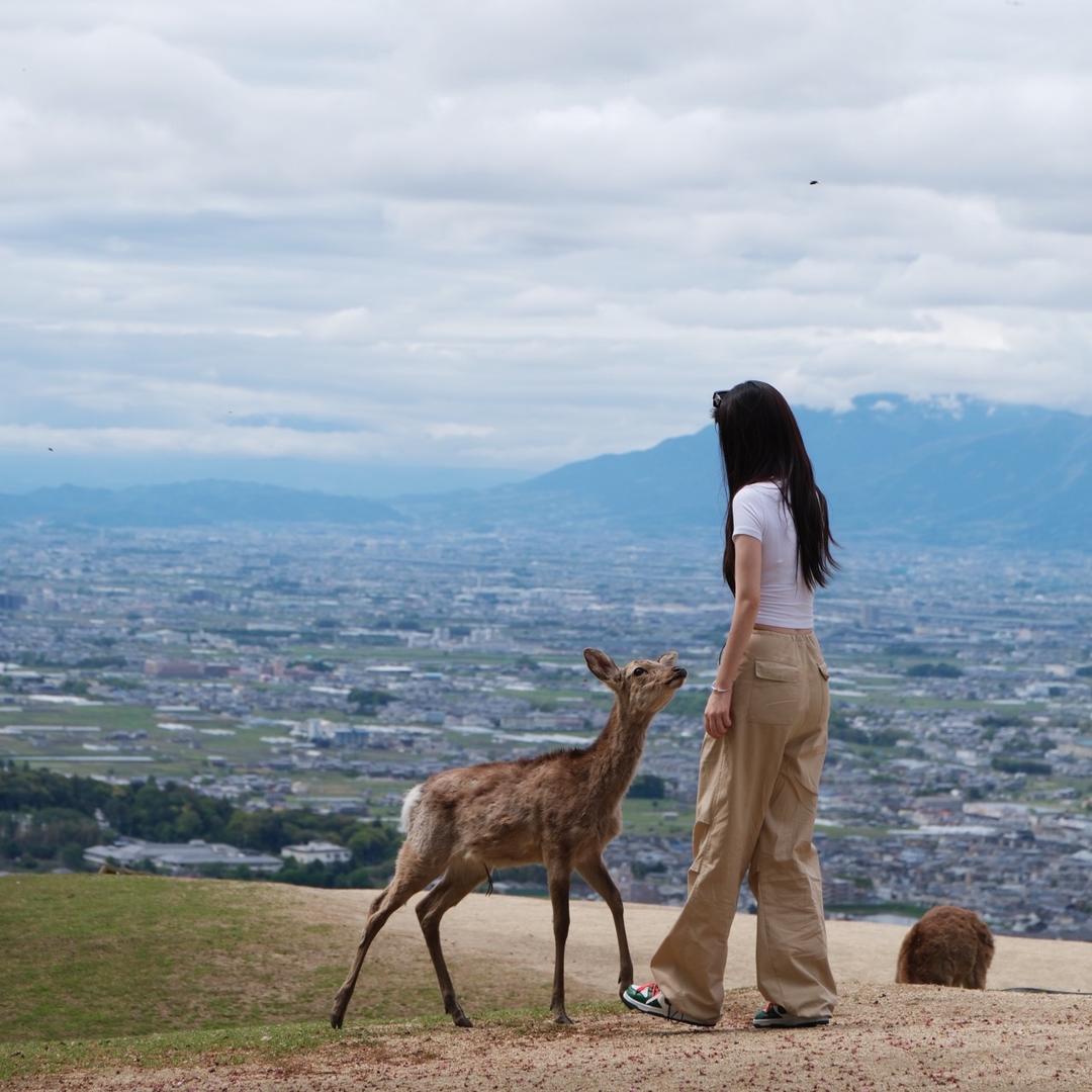 春天的小鹿🦌