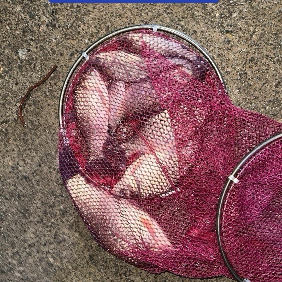 ꧁꫞꯭浮生꯭若梦꯭꫞꧂