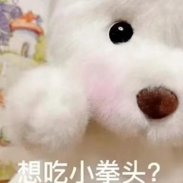 菜菜子