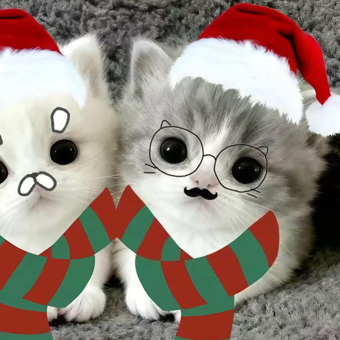 给你的情诗生了锈