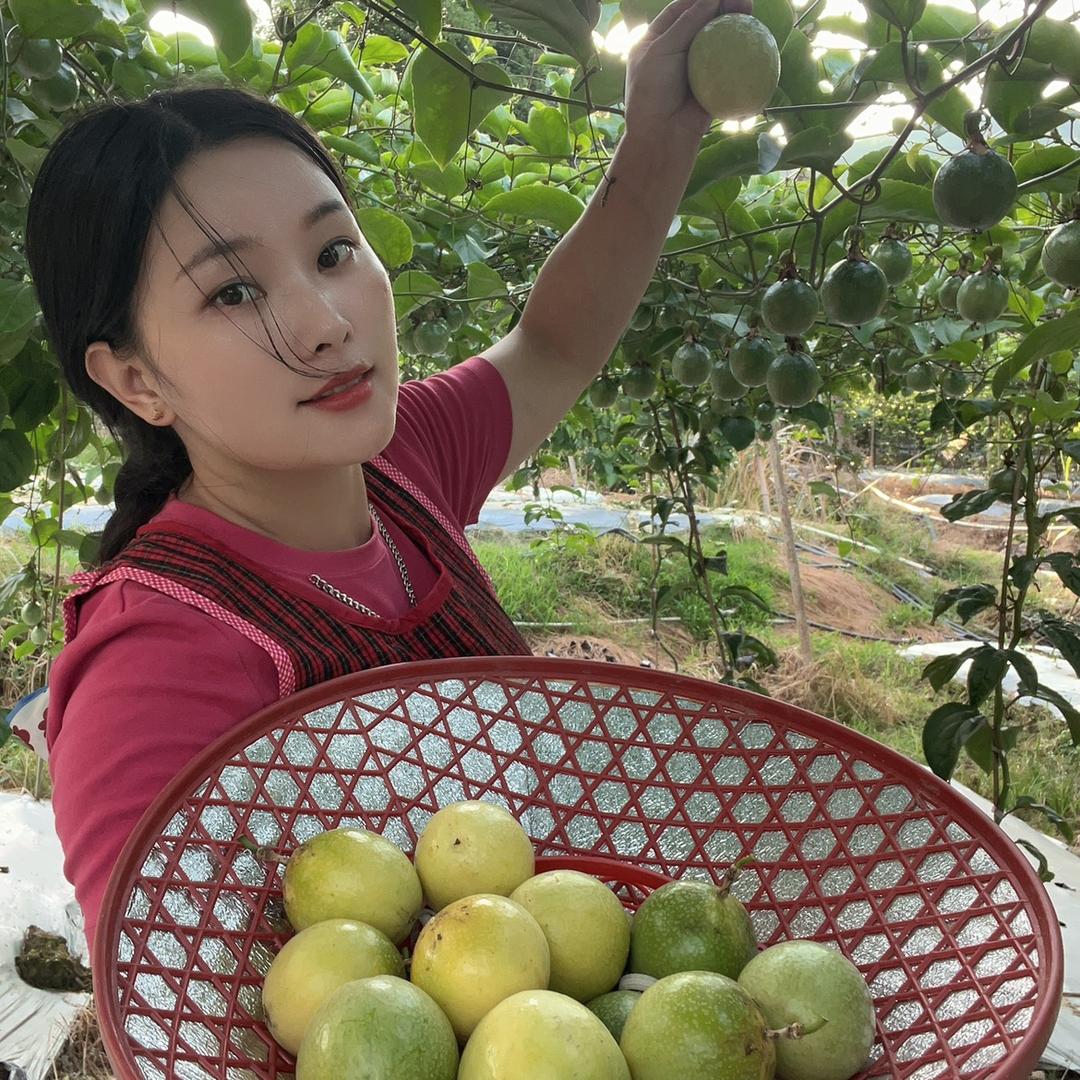 客家龙妹·百香果