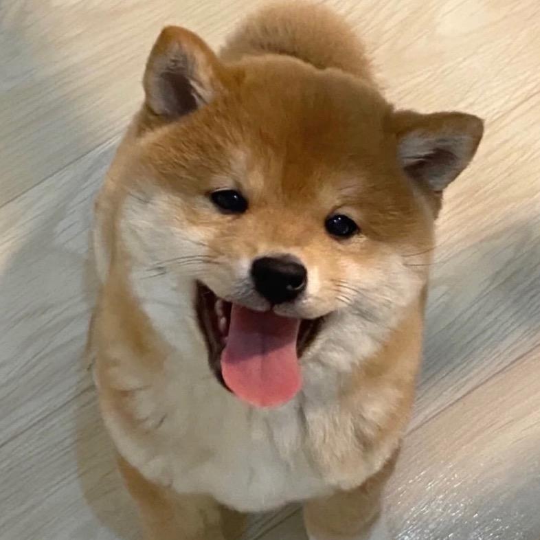 一口甜