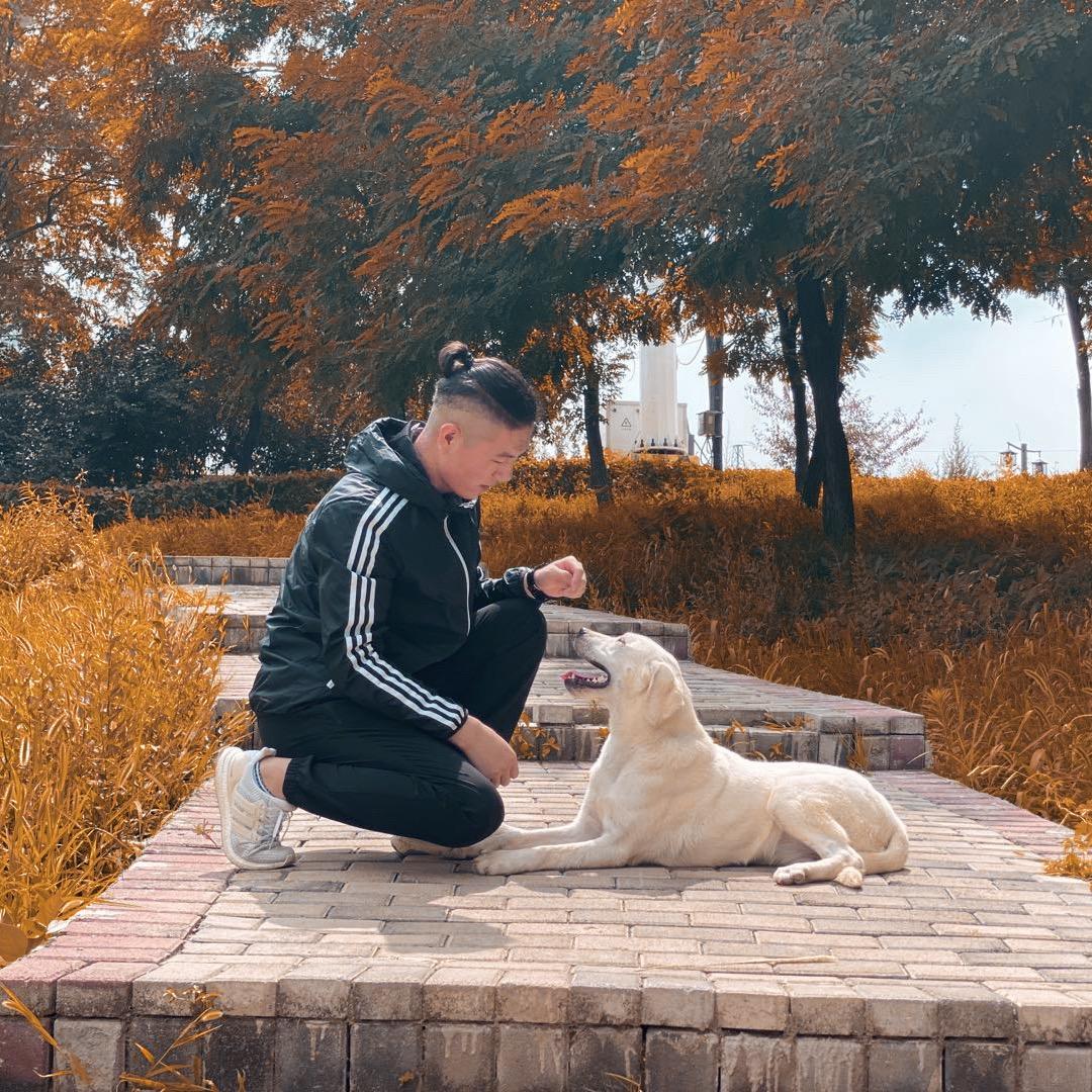 沐恩训犬