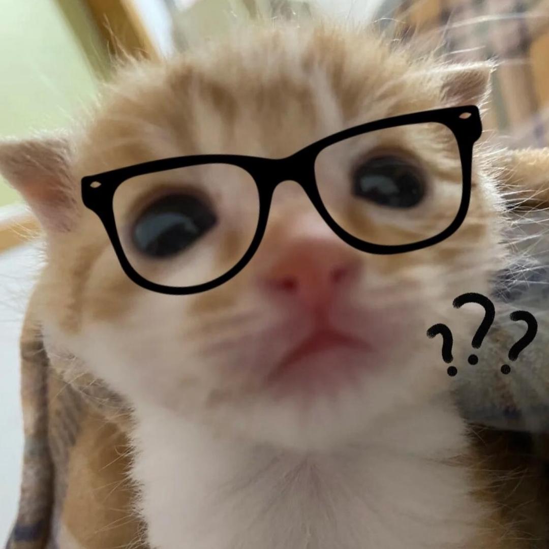 小渔（努力涨粉版）