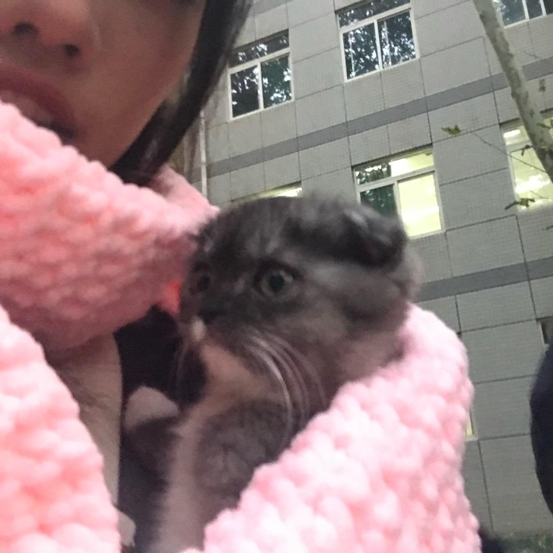 小燕爱跑步