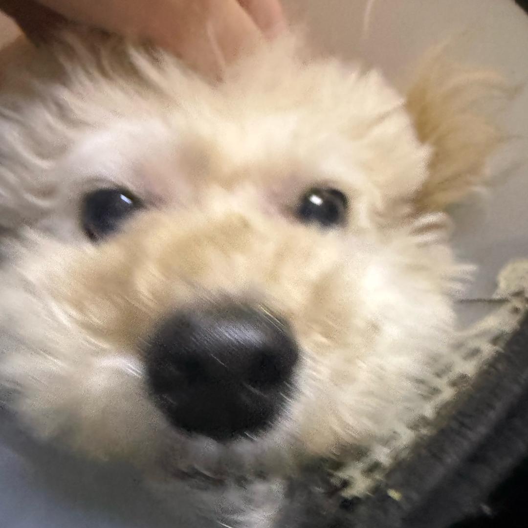 邪恶摇粒绒