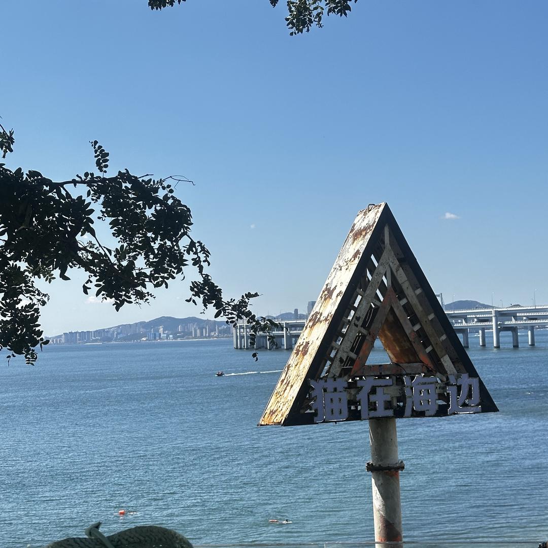 关你什么柿.🍅