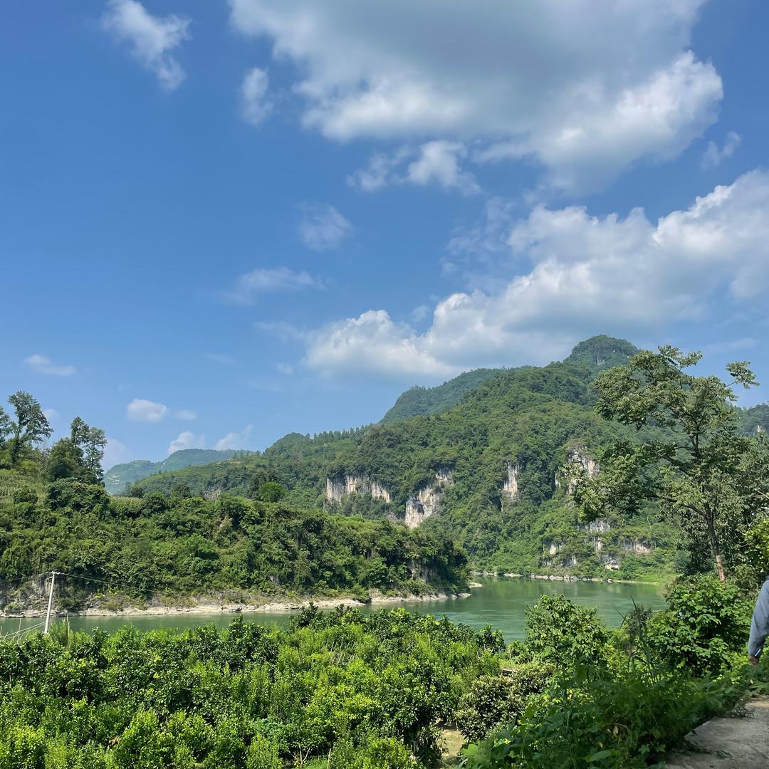 @痞姑凉