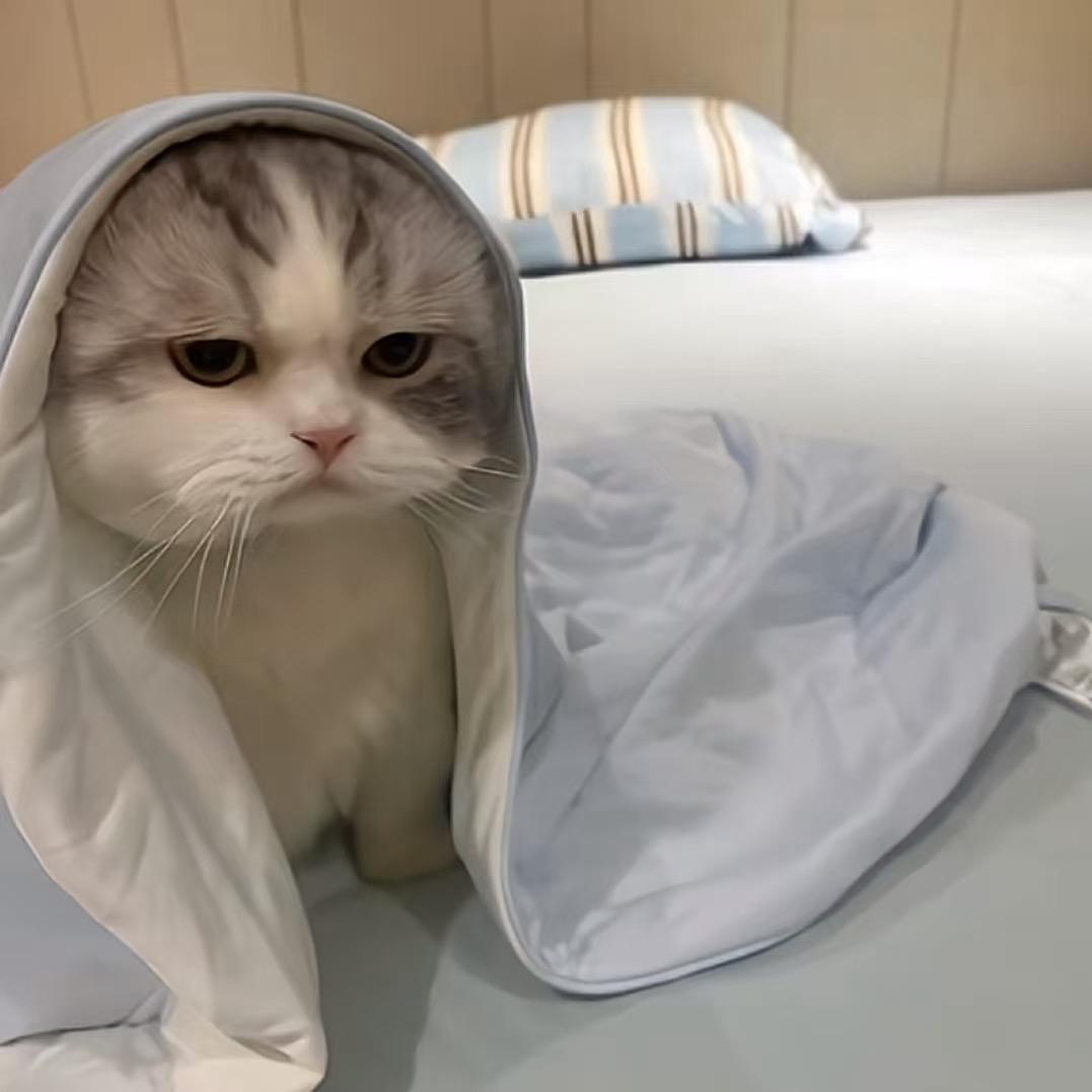 煤炭