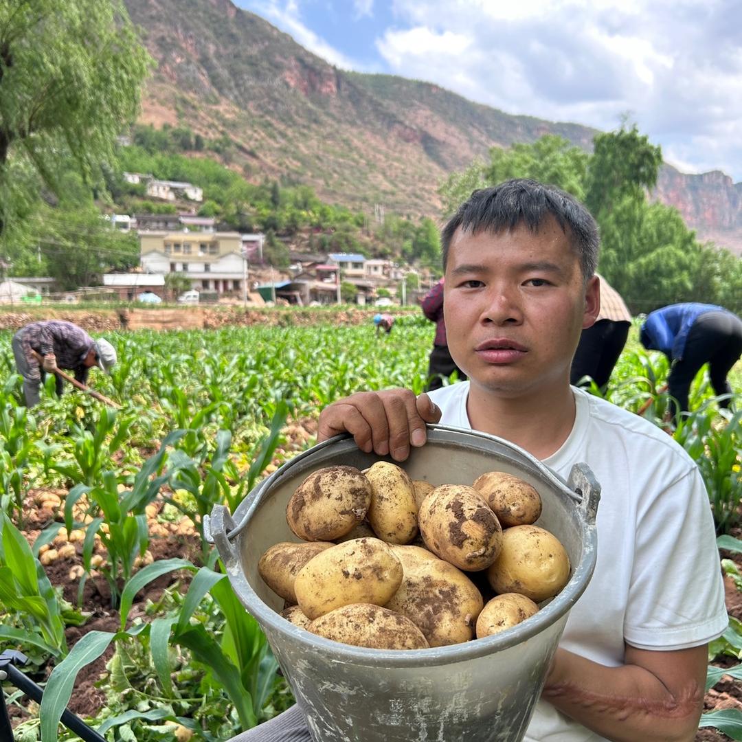 威宁小杨哥官方店铺号