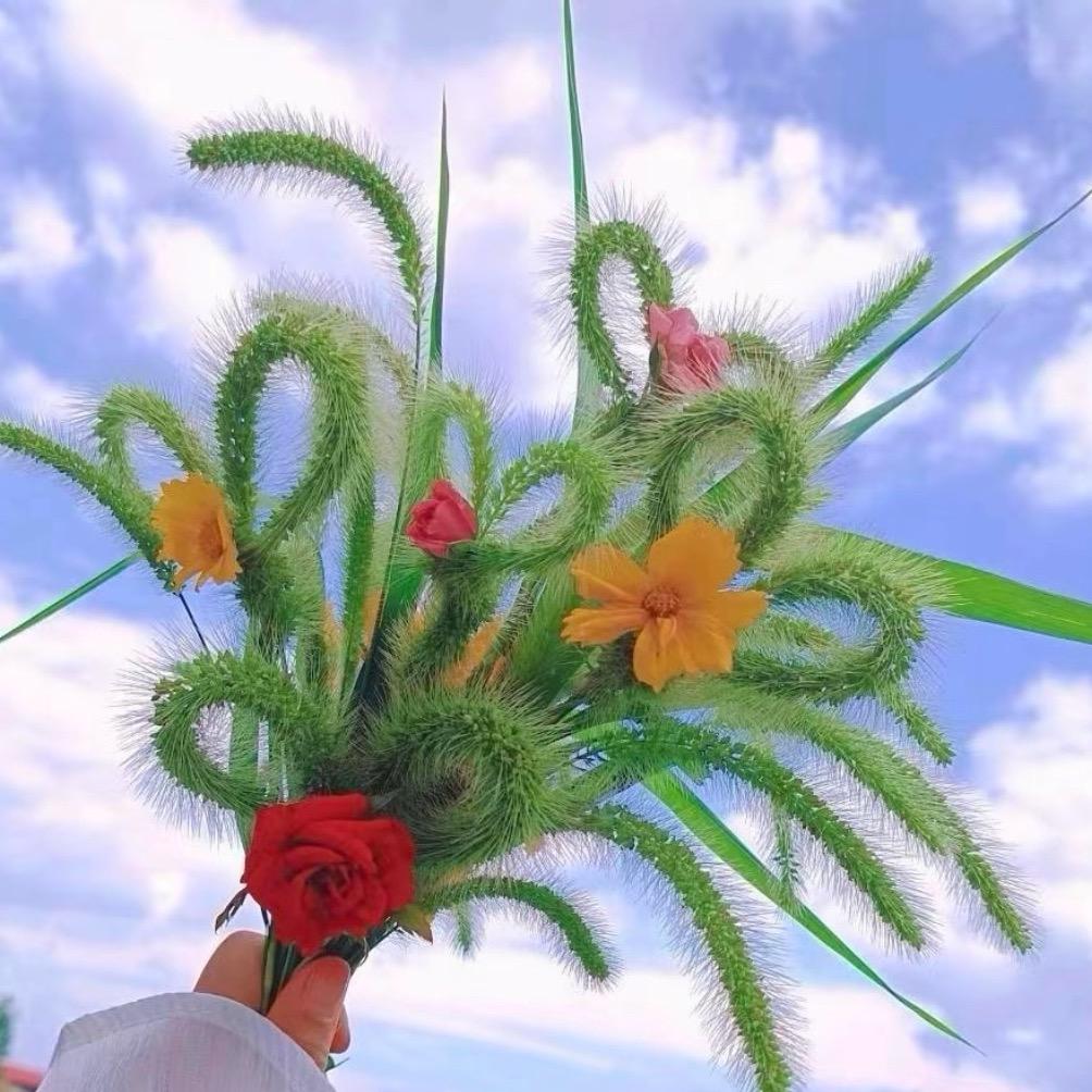 ღ一夕半夏᭄ꦿ࿐