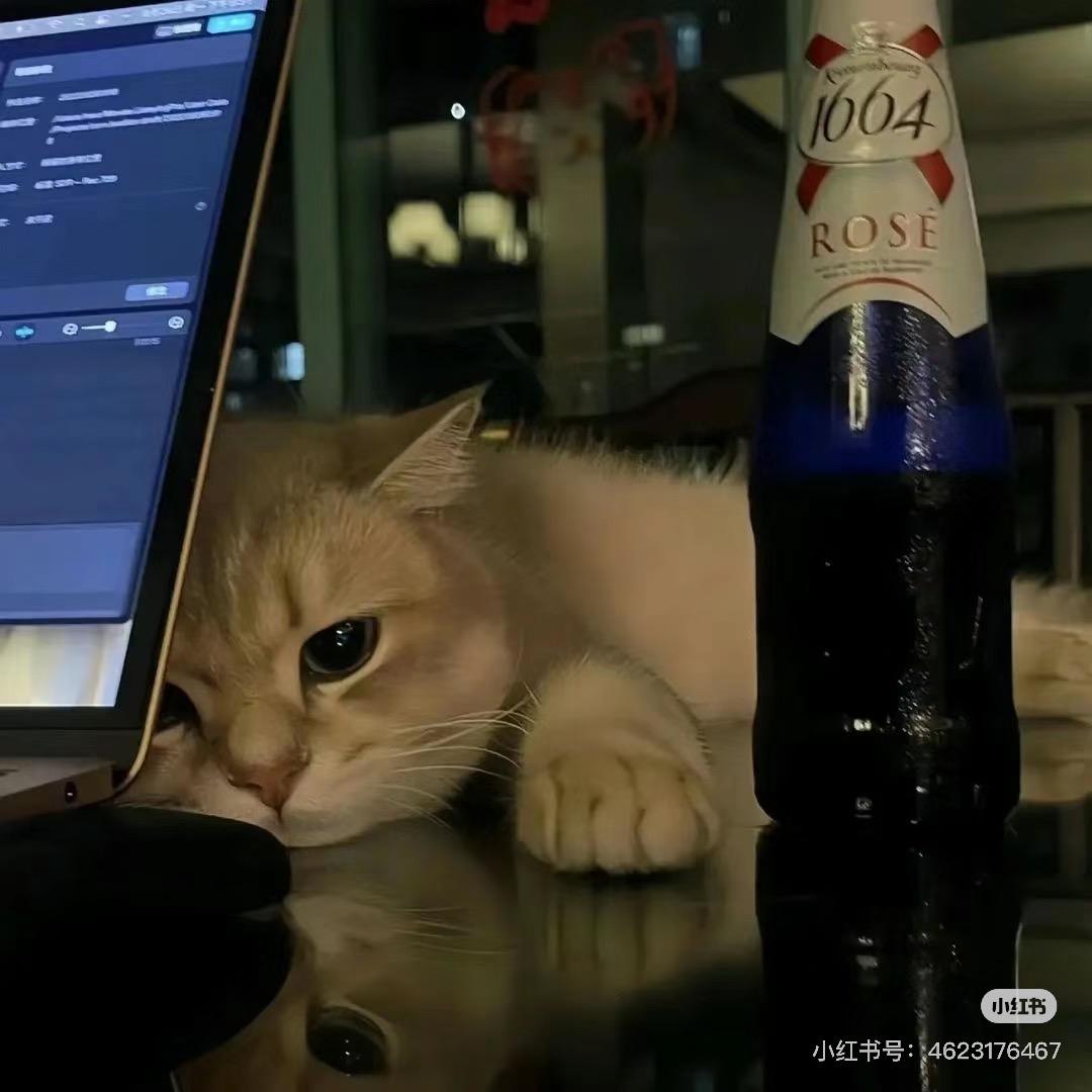 小王唠唠房.
