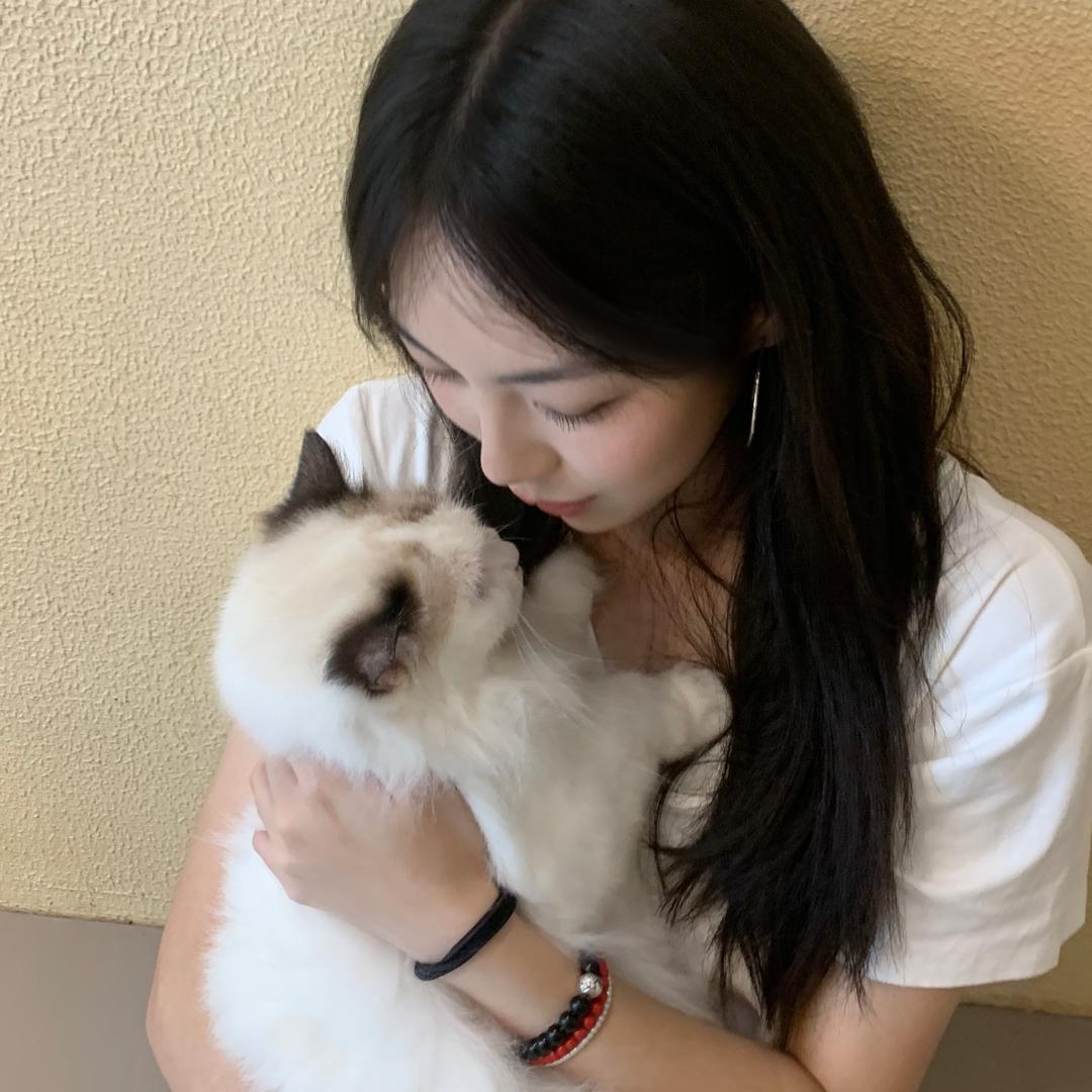 屁屁大王