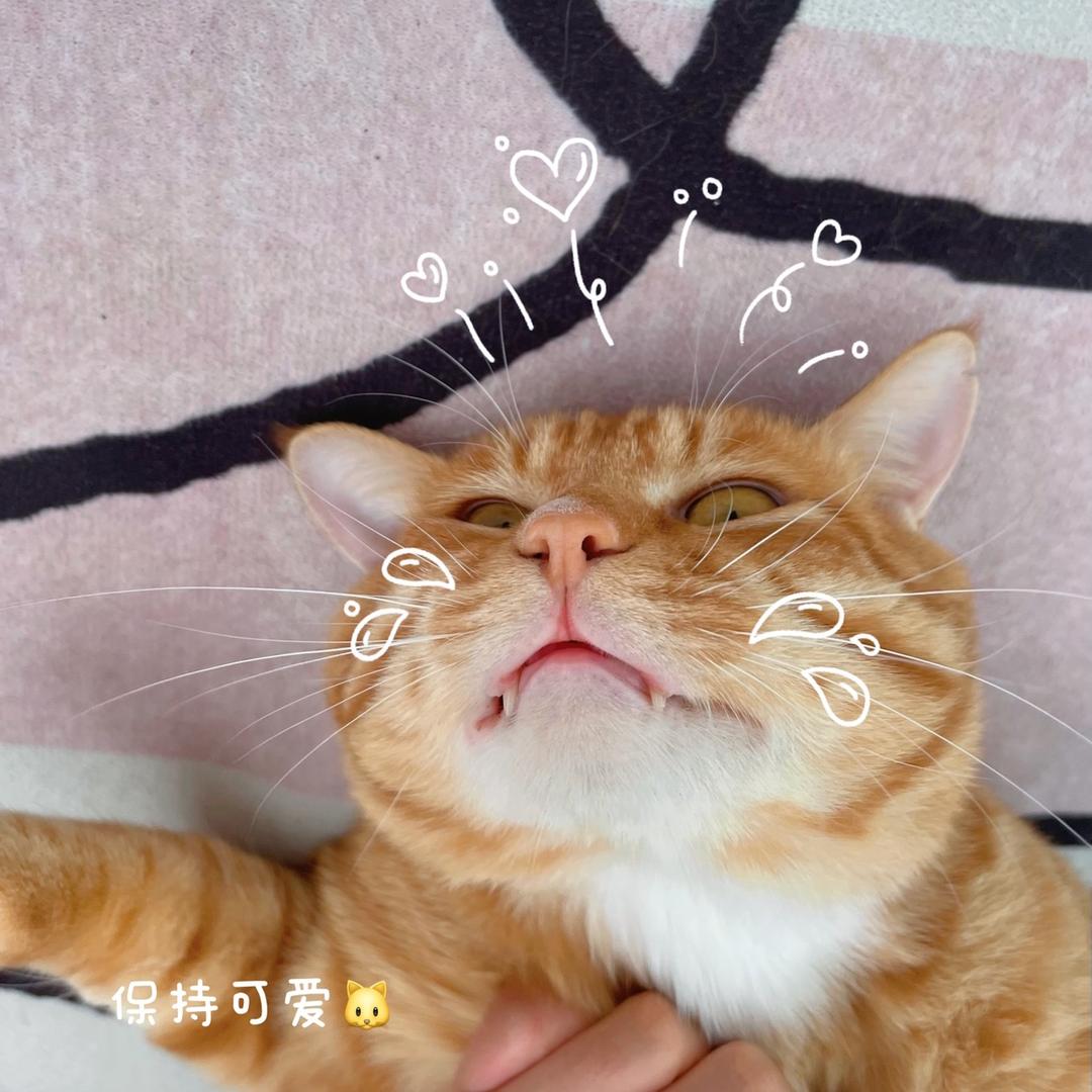 菩提儿